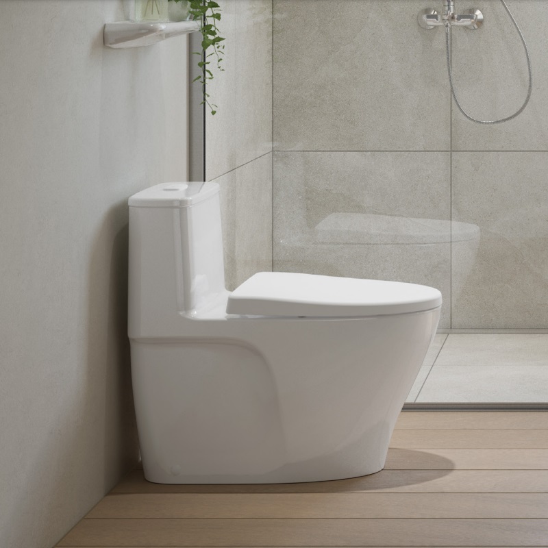 Bồn cầu 1 khối INAX AC-989VN