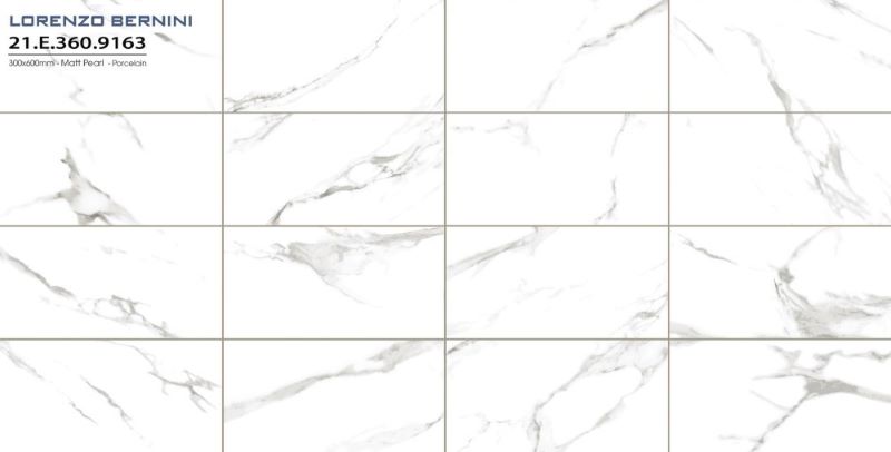 Gạch Á Mỹ 21.E.360.9163