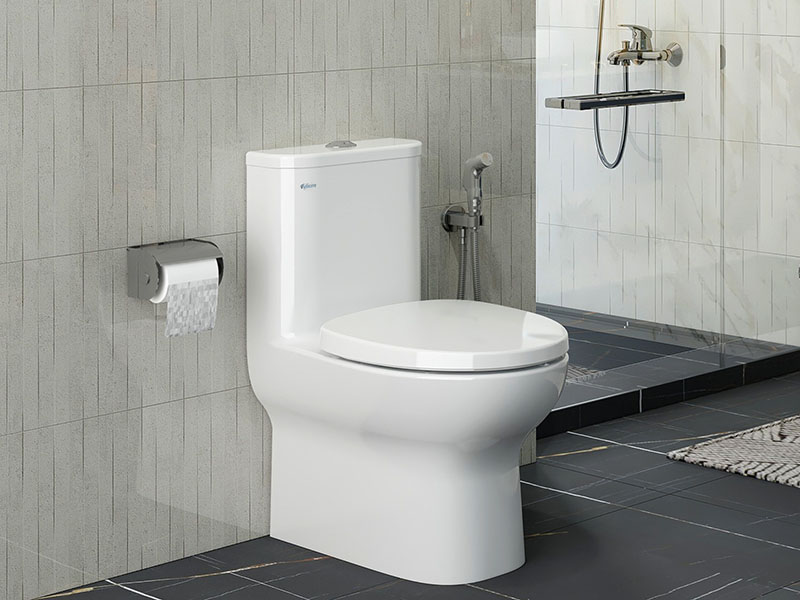 Bồn cầu Viglacera