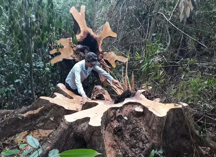 nhược điểm của giây vệ sinh