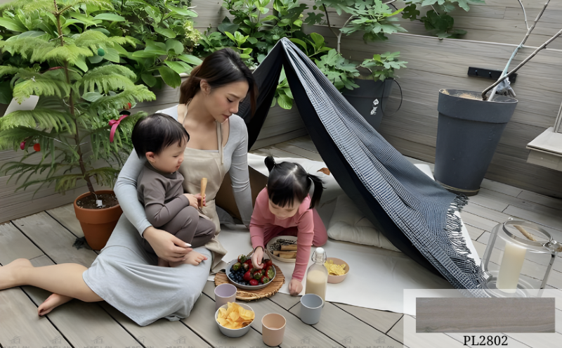 Gạch Viglacera PL2802