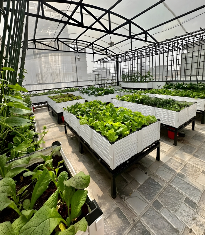 Chọn gạch lát sân thượng trông rau 