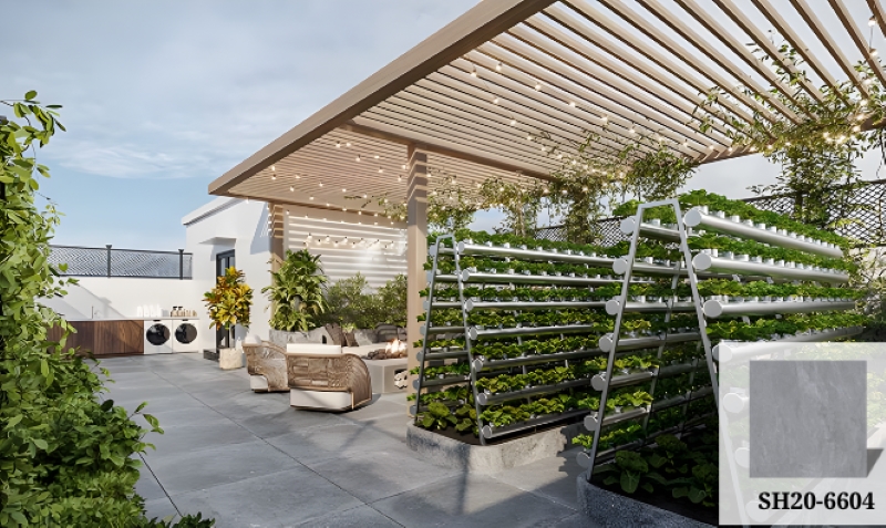 Gạch Viglacera SH20-6604