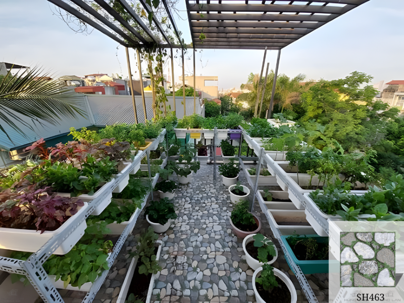 Gạch Viglacera SH463