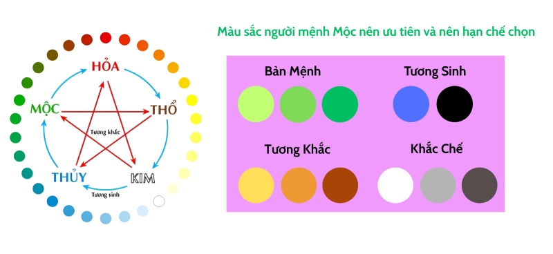 Ngũ hành tương sinh, tương khắc của mệnh Mộc
