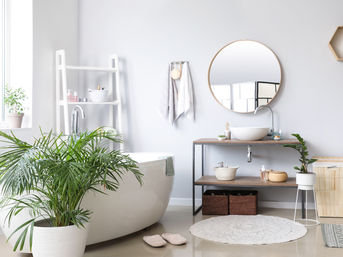 Sử dụng cây xanh trong nhà vệ sinh