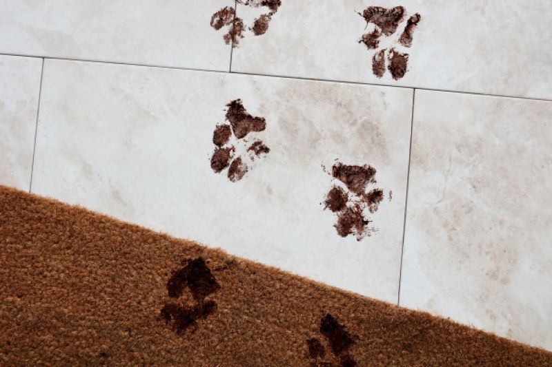 Xử lý ngay các vết bẩn khi vừa xuất hiện trên bề mặt gạch