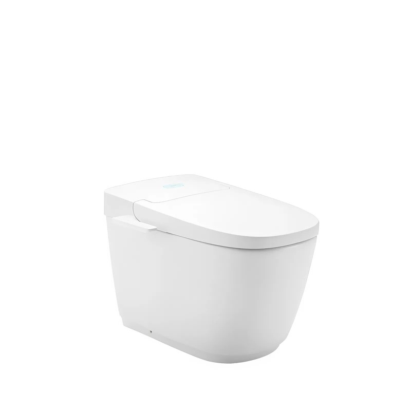 Bồn cầu điện tử Inax AC-816VN