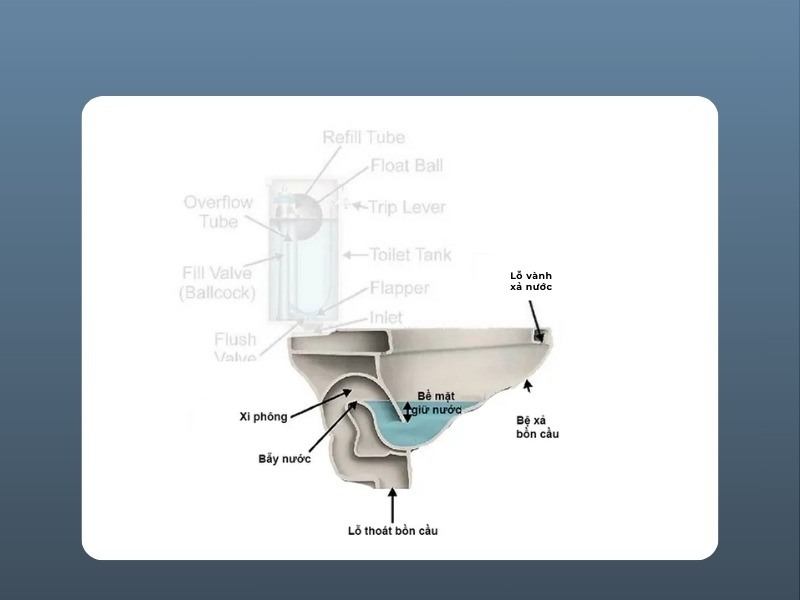 Cấu tạo của bồn cầu xả siphon