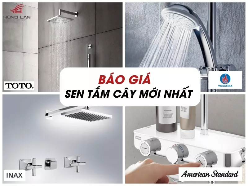 Bảng Báo Giá Sen Tắm Cây Mới Nhất 2025