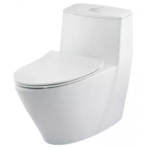 Bồn cầu 1 khối AC-919VRN