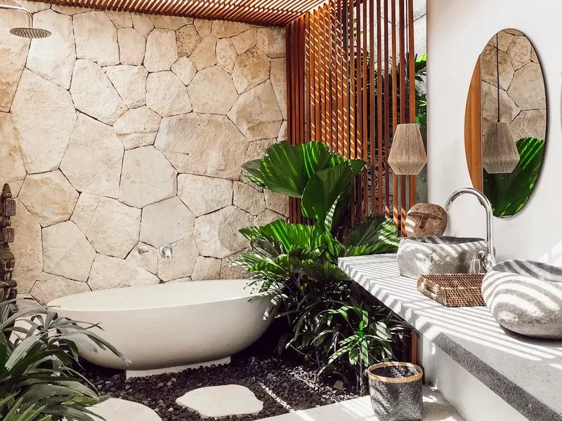 Top 10 loại cây trồng trong nhà vệ sinh giúp thanh lọc, khử mùi cực đỉnh