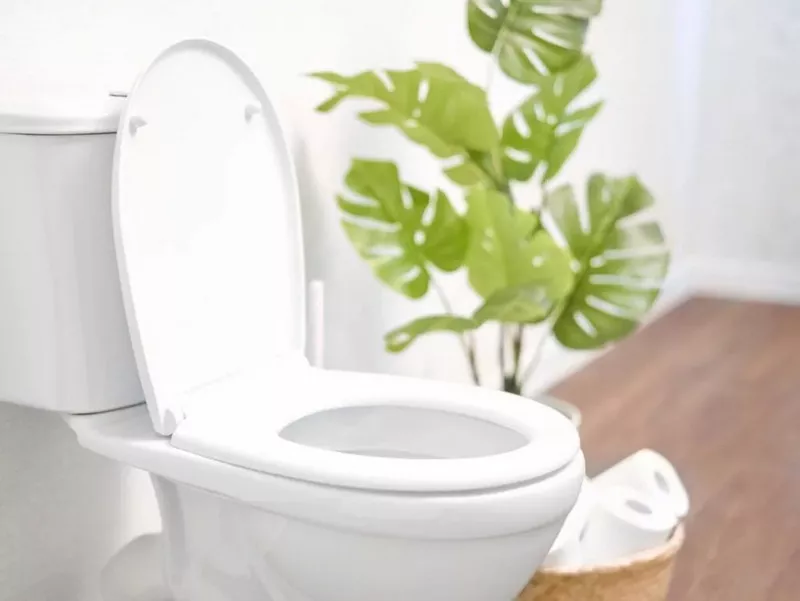 Các Kích Thước Bồn Cầu Phổ Biến Chuẩn Mới Nhất 2025