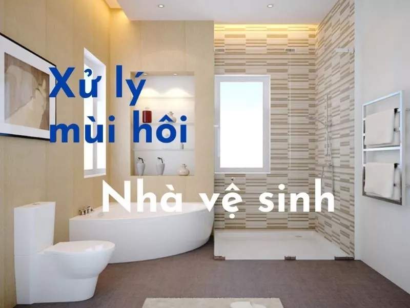 Nhà vệ sinh có mùi hôi: nguyên nhân và cách xử lý dứt điểm