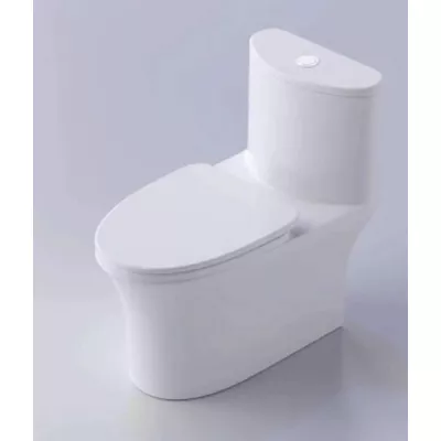 Bồn cầu 1 khối Shinko SH5501