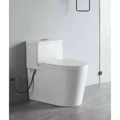 Bồn cầu 1 khối Shinko SH8809