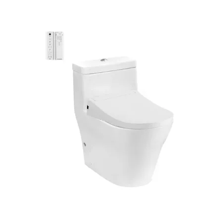 Bồn cầu 1 khối TOTO CW166RB/TCF34320GAA/T53P100VR