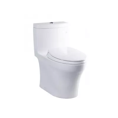 Bồn Cầu 1 Khối TOTO MS889DRT2