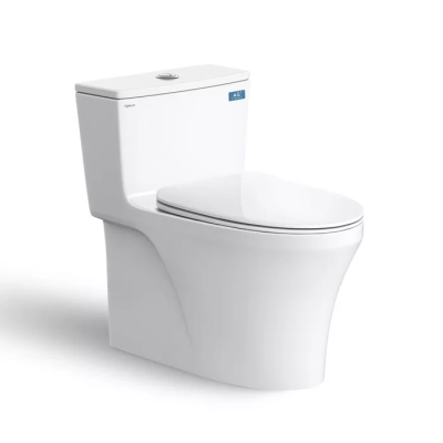 Bồn cầu 1 khối Viglacera HL2