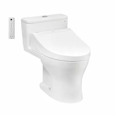 Bồn Cầu 1 Khối Washlet TOTO MS855CDW15