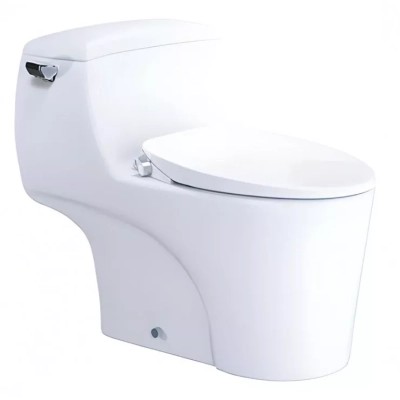 Bồn cầu 1 khối Caesar C1353F + TAF060 nắp rửa cơ