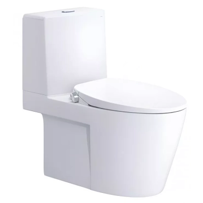 Bồn cầu 2 khối Caesar CD1345-TAF060 nắp rửa cơ