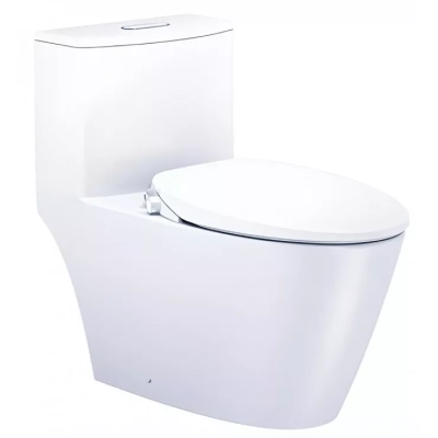 Bồn cầu 1 khối Caesar C1363F + TAF060 nắp rửa cơ