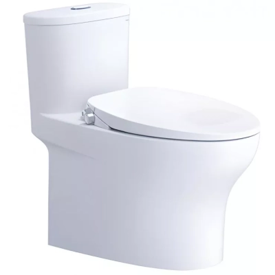 Bồn cầu 1 khối Caesar C1394F + TAF060 nắp rửa cơ