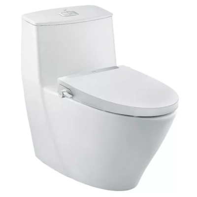 Bồn cầu nắp rửa cơ Inax AC-919R+CW-S32VN