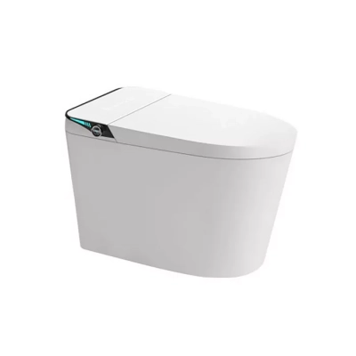 Bồn cầu thông minh D&K ST6901E