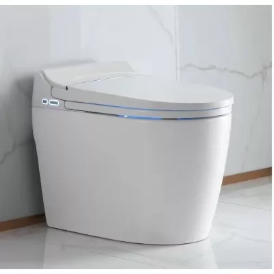 Bồn Cầu Thông Minh Dova D9215