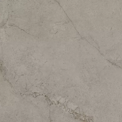 Gạch Á Mỹ 21.B.880.5503