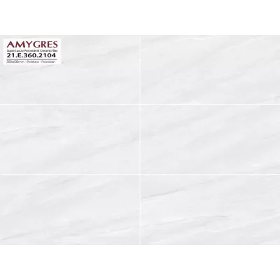 Gạch Á Mỹ 21.E.360.2104