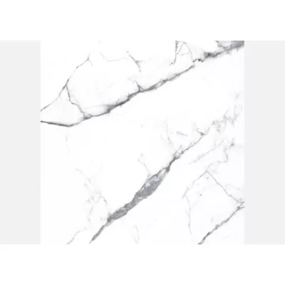 Gạch Á Mỹ 21.E.660.9693