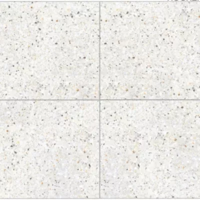 Gạch Ấn Độ HLA88017VA