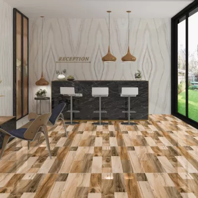 Gạch Apodio 66383026