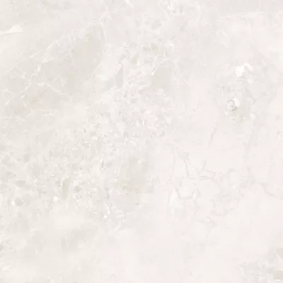 Gạch Apodio C88MS804