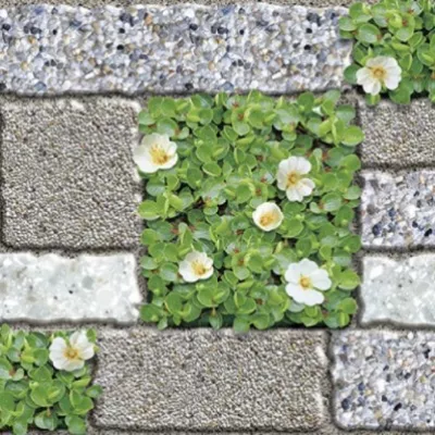 Gạch Prime 01.250500.09117