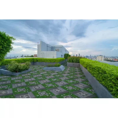 Gạch Prime 01.500500.09905