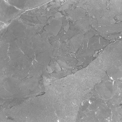 Gạch Taicera G98018