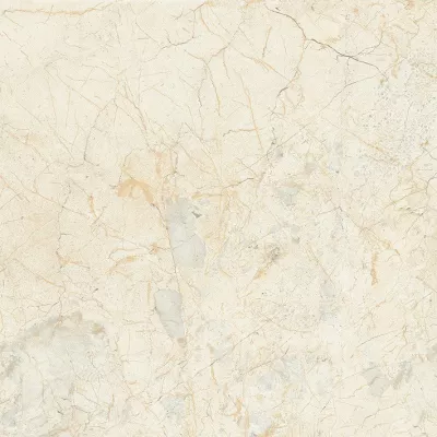 Gạch Taicera G98903