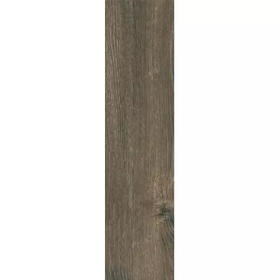 Gạch Taicera GC200*1200-921