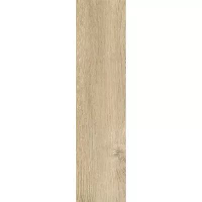 Gạch Taicera GC200*1200-923