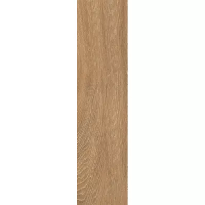 Gạch Taicera GC200*1200-926