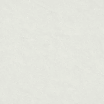 Gạch Taicera P67542N