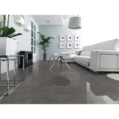 Gạch Trung Quốc HLTQ88006EL