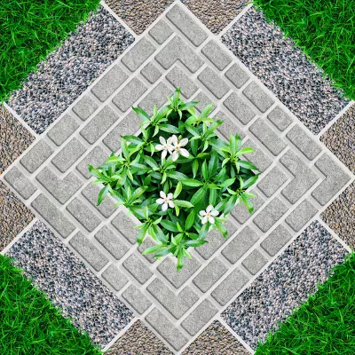 Gạch Viglacera 5525