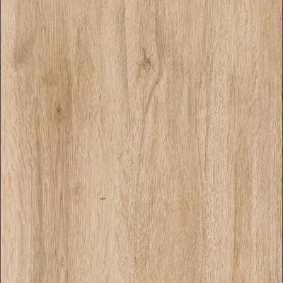 Gạch Viglacera CL-15904