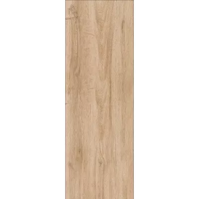 Gạch Viglacera CL-15904