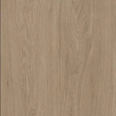 Gạch Viglacera CL-15954